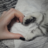 Кот Геральт I Милый котовлог ♡🐾