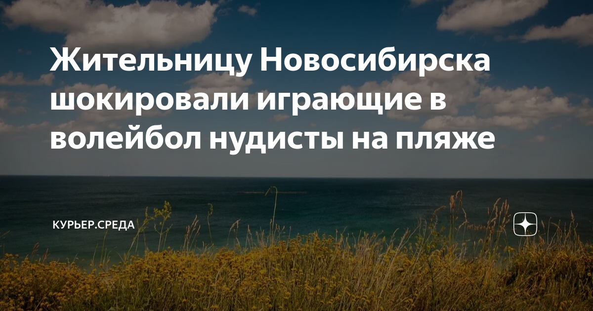 Жительницу Новосибирска шокировали играющие в волейбол нудисты на пляже