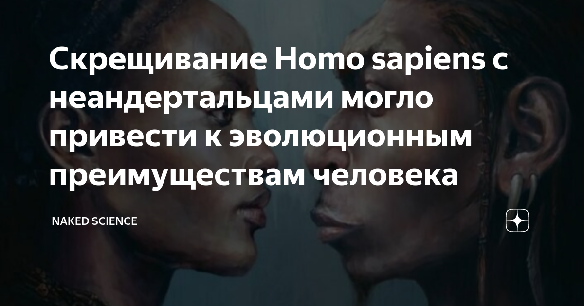 Скрещивание Homo sapiens с неандертальцами могло привести к