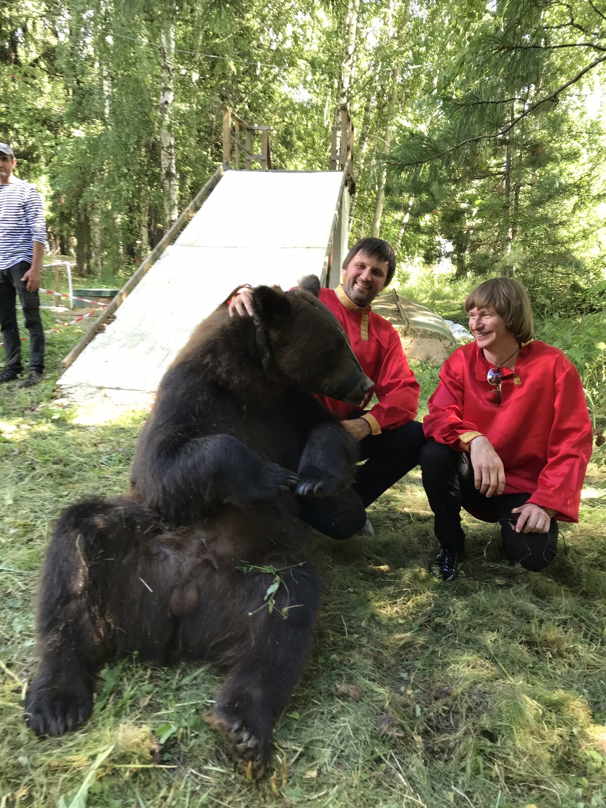 Цыгане с медведем