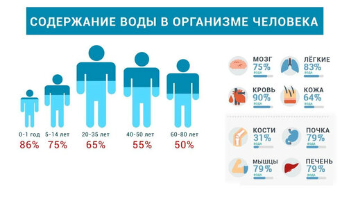 Сколько воды нужно розам