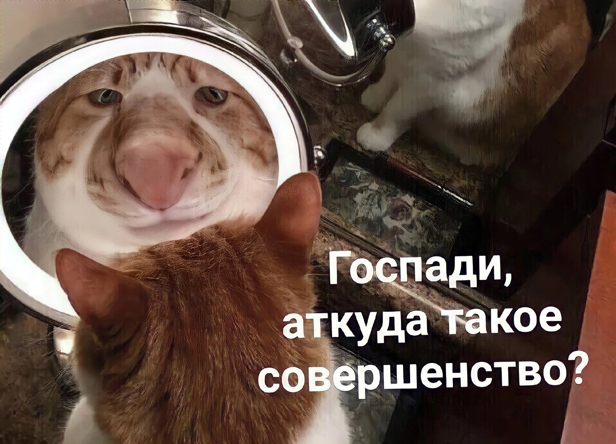 Немного юмора для хорошего настроения в картинках прикольные