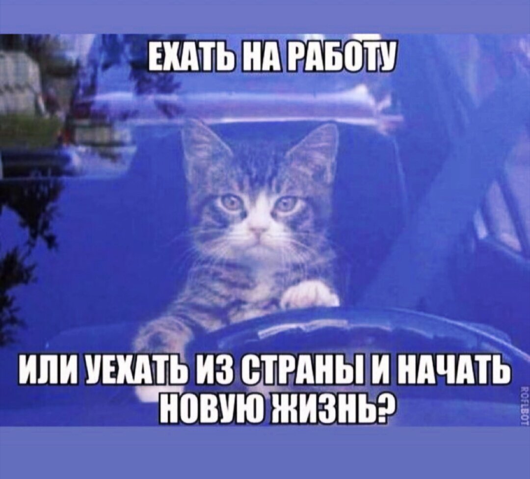 Картинка пора на работу