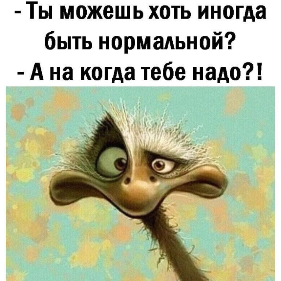 Когда ты в отпуске а другие работают картинки прикольные
