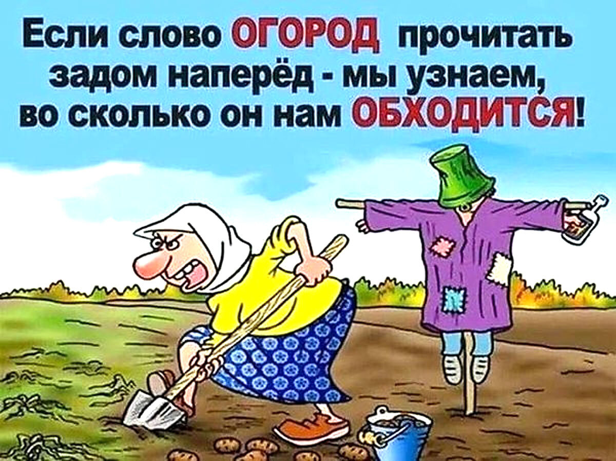 Смешное видео про огород