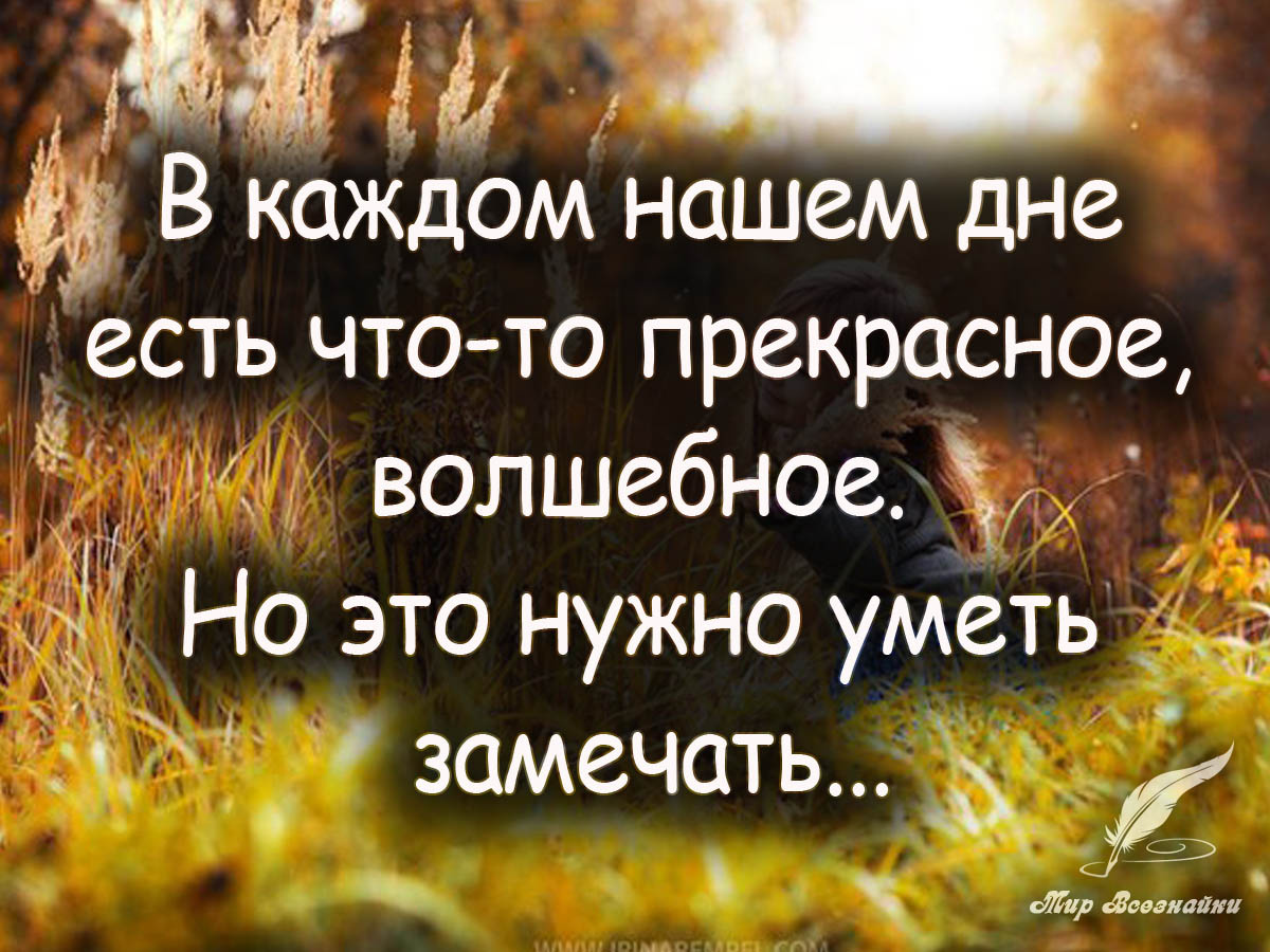 Мудрость дня