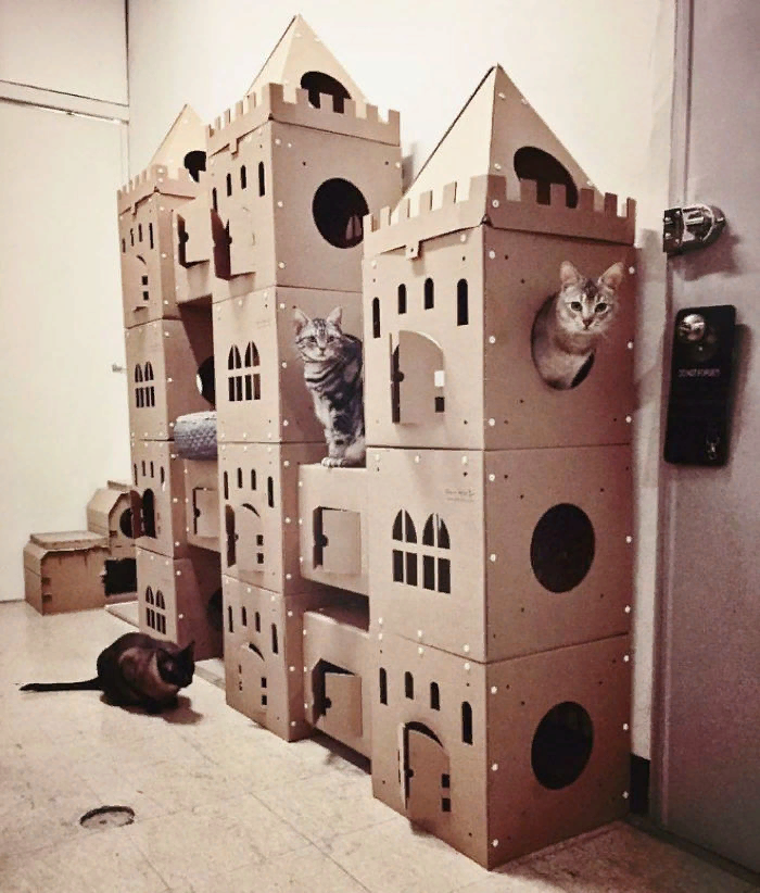 Кошкин Дом Из Коробки