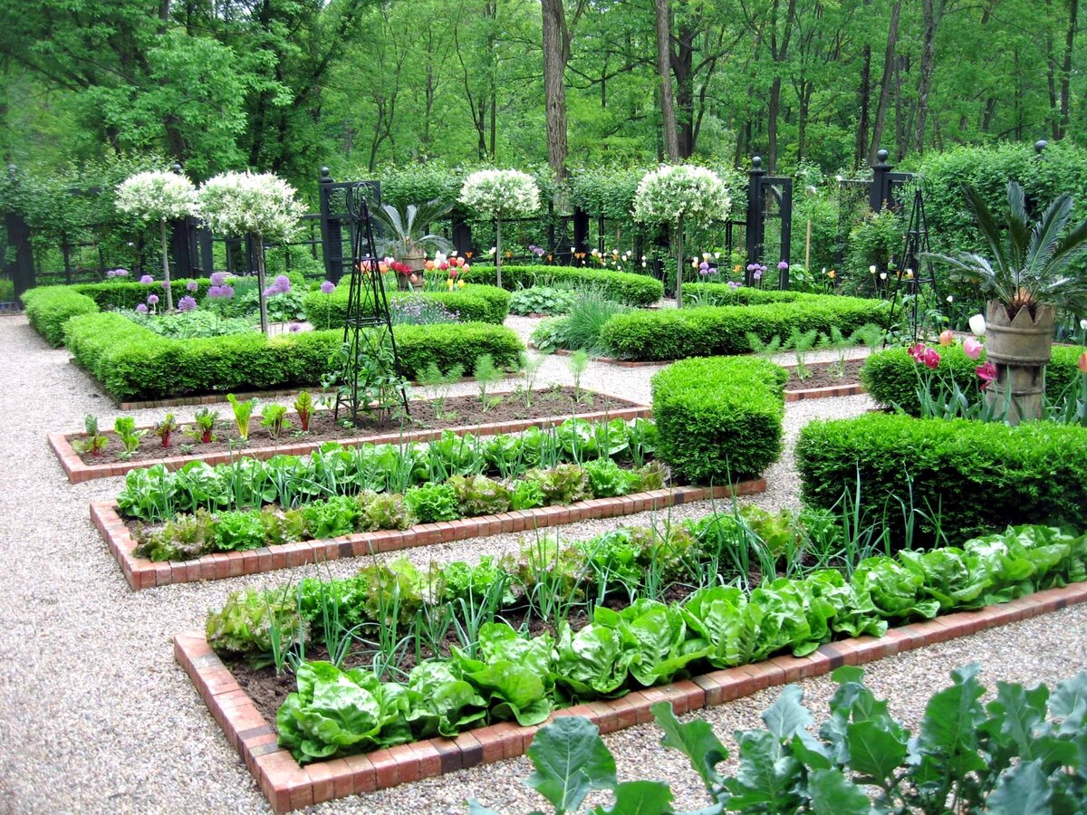 Красивый Сад И Огород Фото