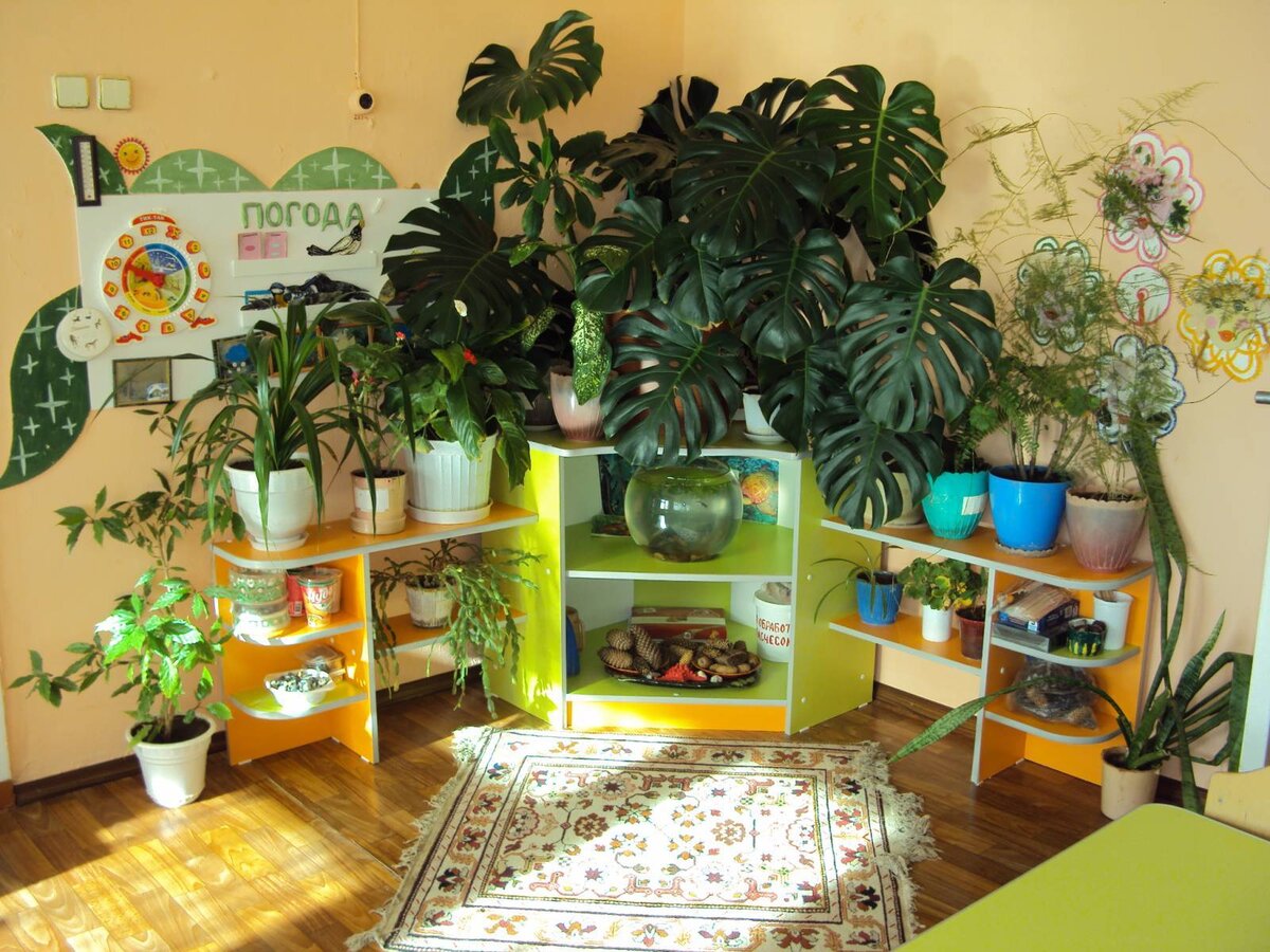 Экологическая Комната В Детском Саду