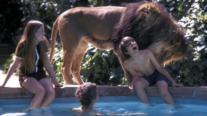 Melanie Griffith Lion Accident