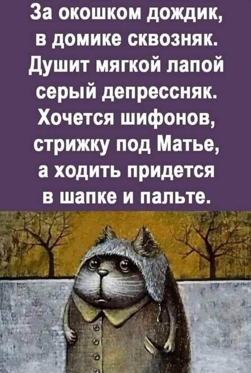 Смешное в одноклассниках лента