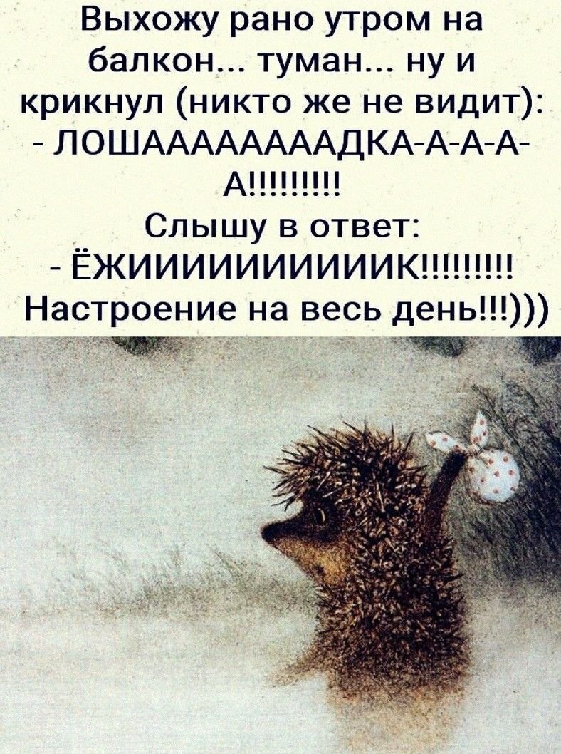 Открытка ежик в тумане