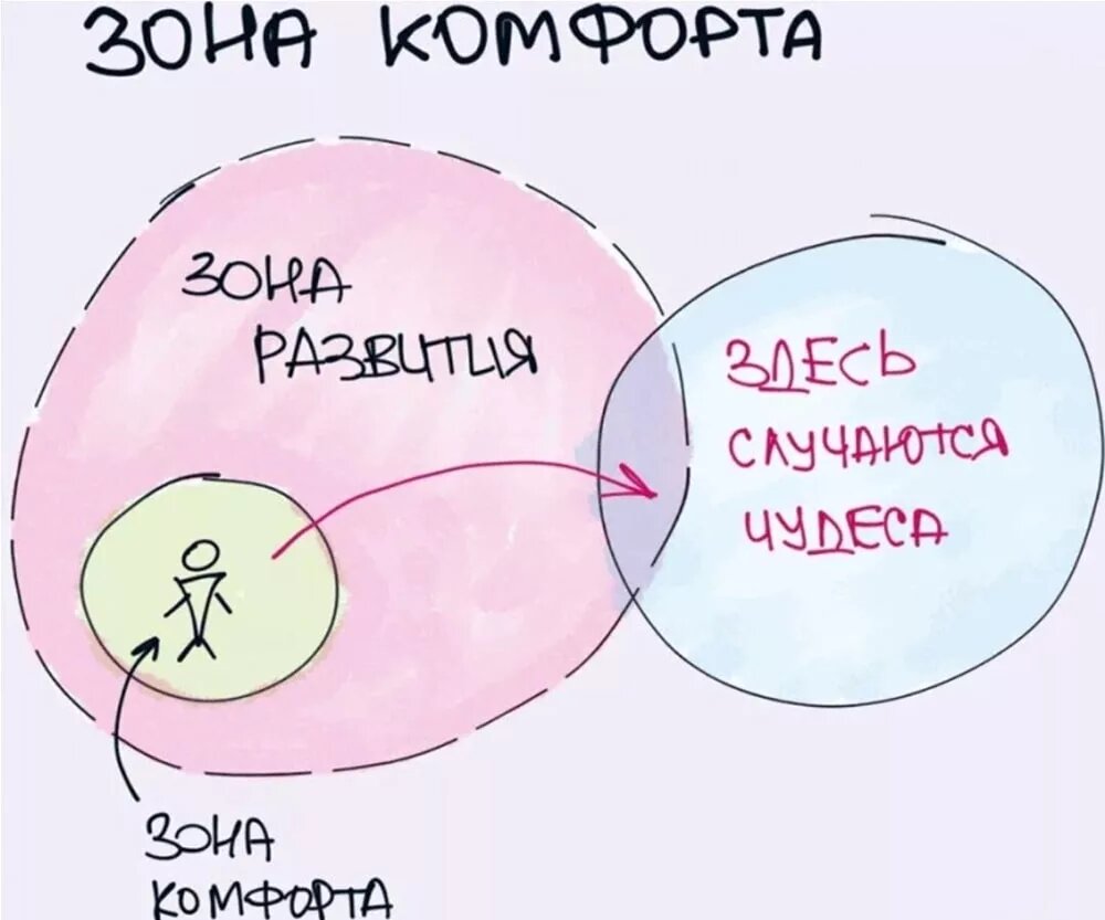 Картинка с акулой про зону комфорта
