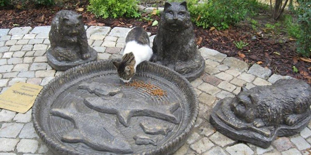 "Мурариум". Арт-коллекция кошек.