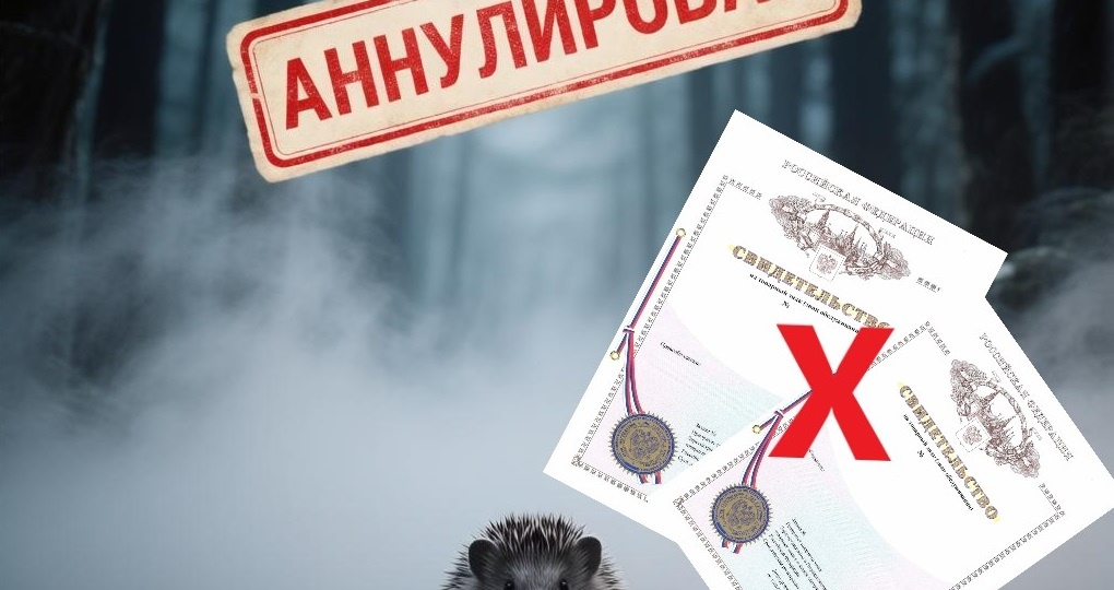 «Ёжик в тумане»: товарные знаки аннулировали спустя 20 лет. Почему?
