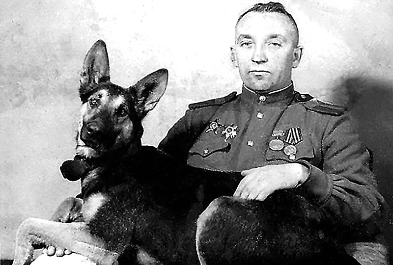 Четвероногий Герой Советского Союза: как собака подорвала вражеский эшелон и спасла дивизию.