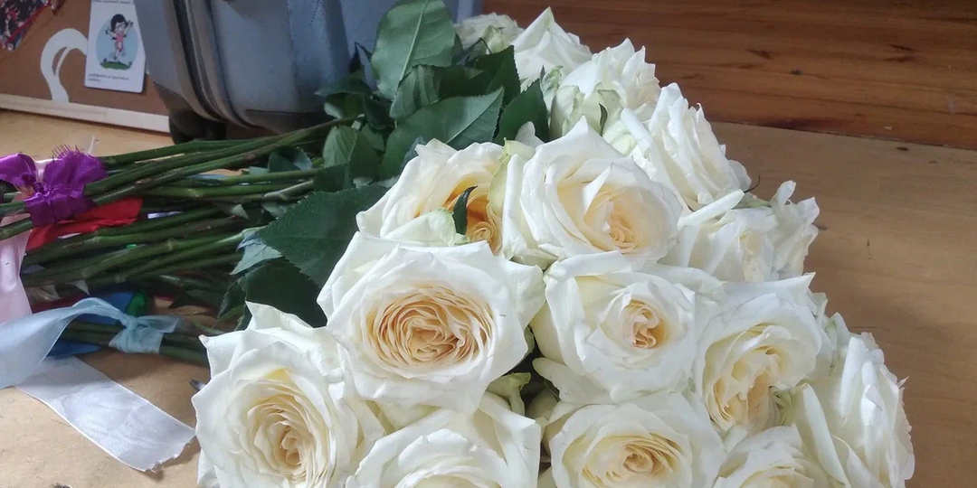 Размышлизмы...
