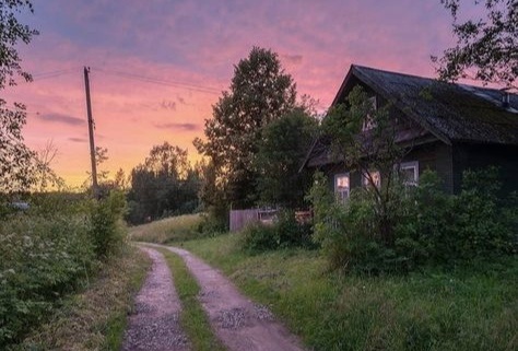 ЧУЖАЯ КРОВЬ