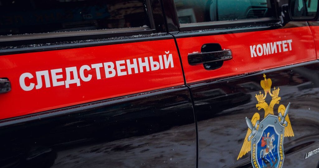Жительницу Зонального района будут судить по делу об укрывательстве особо тяжкого преступления
