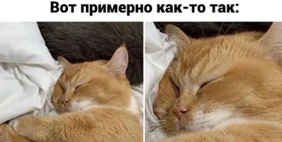 Правда инвестора: почему важен только один показатель?