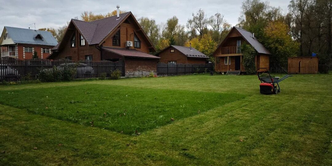 Новосибирцев могут оштрафовать на 50 тысяч за борщевик на участках