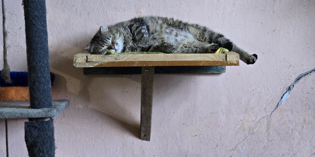 Считаю их раны. Боюсь не хватить