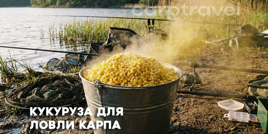 Ферментированная кукуруза для рыбалки: рецепт «пьяной» кукурузы, правила хранения и тонкости применения
