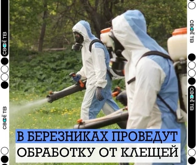 🔔БЕРЕЗНИКИ ПРОТИВ КЛЕЩЕЙ