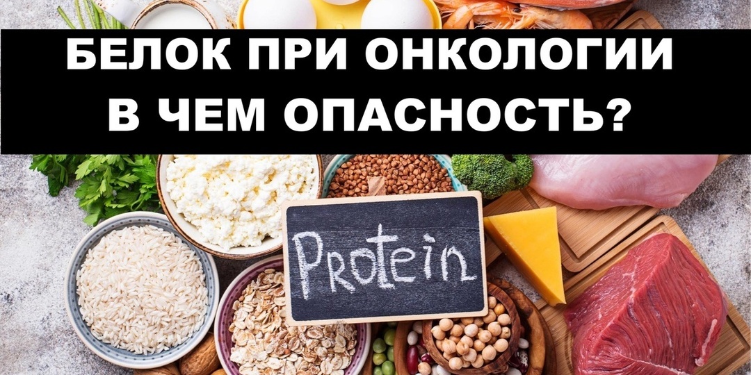 Белок при раке: больше - не значит лучше. В чём парадокс онкологического питания?