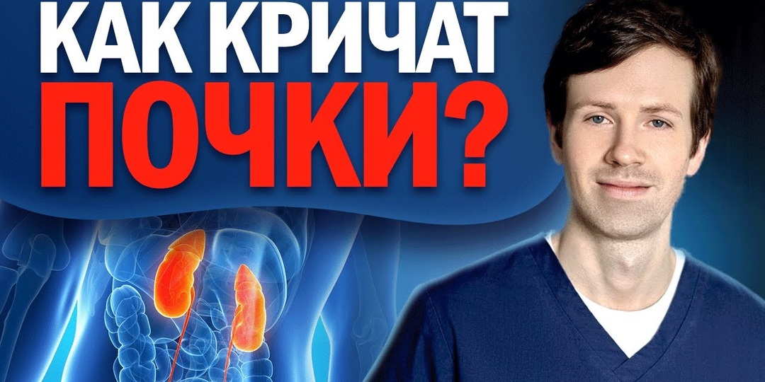 Это признаки того, что у человека хроническая болезнь почек? Врачи их назвали и рассказали все, что нужно знать об этом недуге