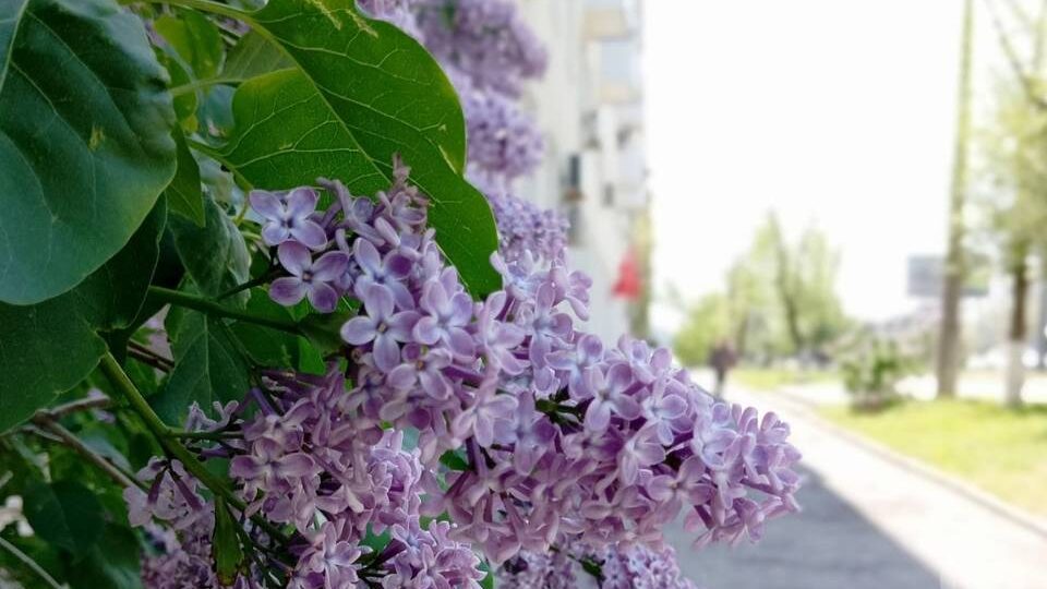 Что запрещено делать 15 мая, чтобы не прожить без денег весь год