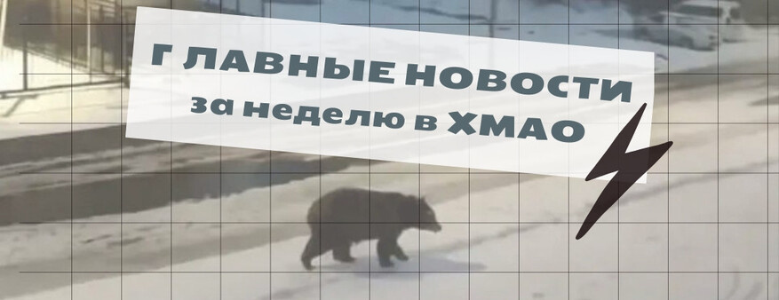 Нейромедведь и шумиха зумеров в банке: самые обсуждаемые новости за неделю в ХМАО