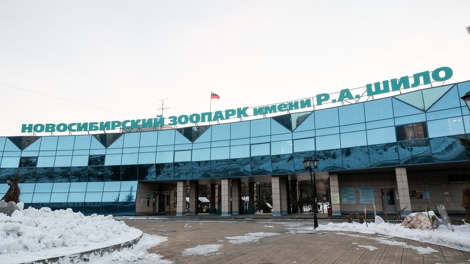 Новосибирский зоопарк изменит график работы 16 мая из-за «Ночи музеев»