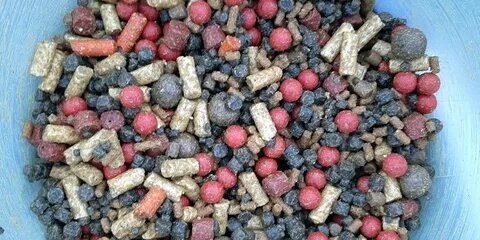 Лучшие прикормки для ловли карпа: готовые смеси и рецепты своими руками