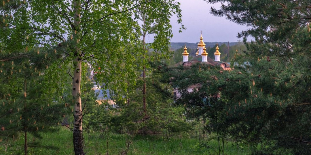 Величественная красота, сокрытая в объятиях весеннего леса