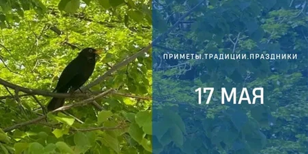 Приметы на 17 мая: что можно и нельзя делать в день Пелагеи Заступницы