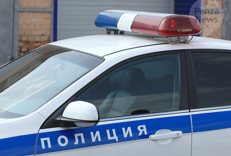 Полицейские задержали жителя Пензенской области, который похитил из магазина товары на сумму более 10 тыс. рублей
