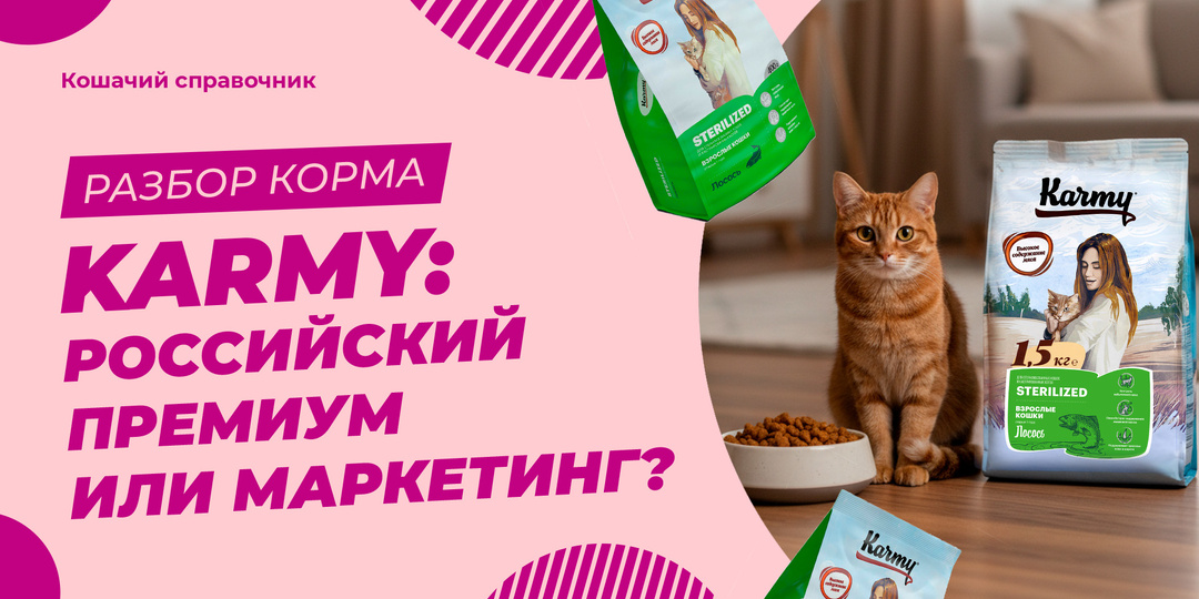 Karmy: российский премиум или маркетинг? Разбираю состав честно