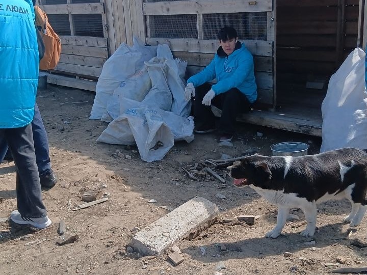 Продолжаем бороться за выживание приюта Ананда
