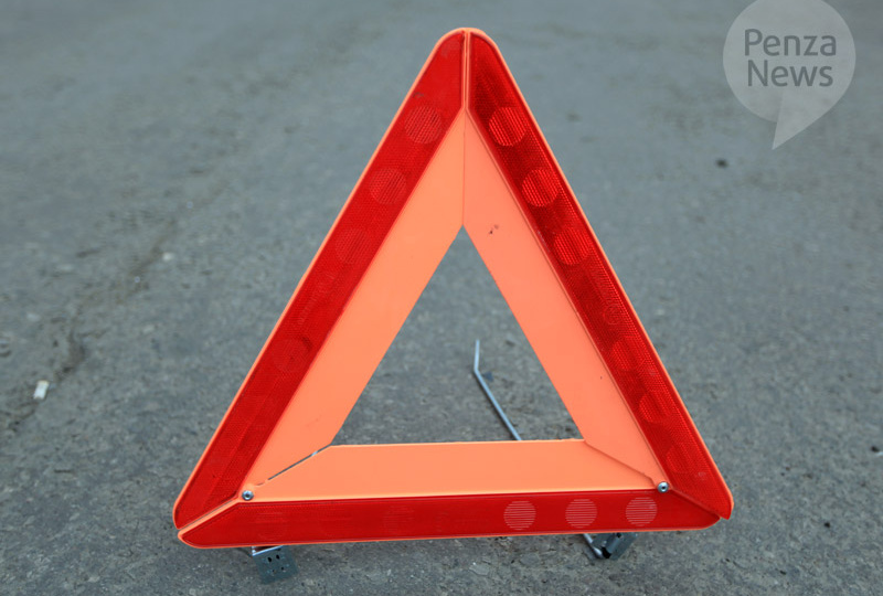 В Пензенской области в выходные в ДТП погибли два лося