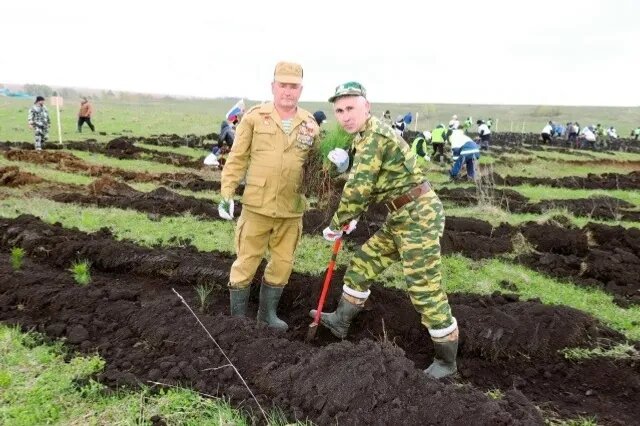 В Башкирии в рамках важной акции высадили более двух миллионов деревьев