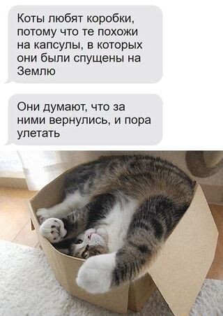 Веселые мемы,новая подборка