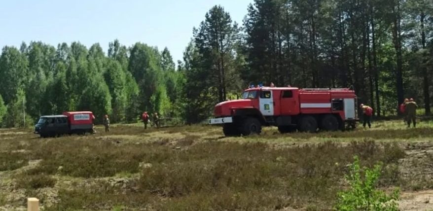 В Парфеньевском районе ликвидируют лесной пожар
