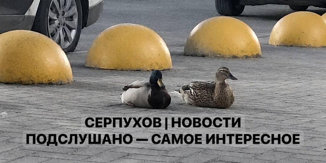 💬 Наш читатель поделился добрыми фотокарточками