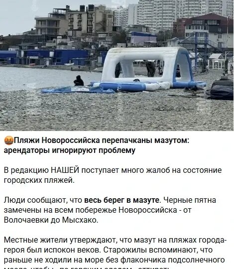 Пляжи Новороссийска в мазуте - не верьте: управление курортов опровергает