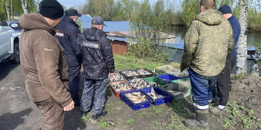 Двух браконьеров задержали на Белом озере
