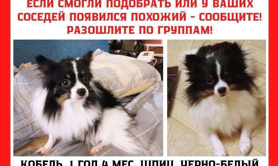 Помогаем информационно