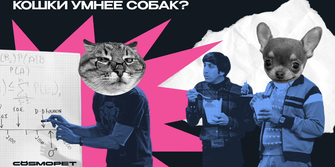 Собака получит Нобелевку