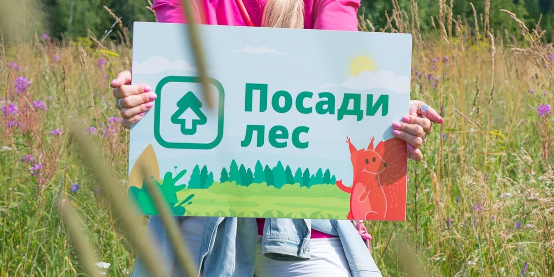 Вместо сувениров — лес: выпускникам и учителям предлагают дарить на выпускной деревья