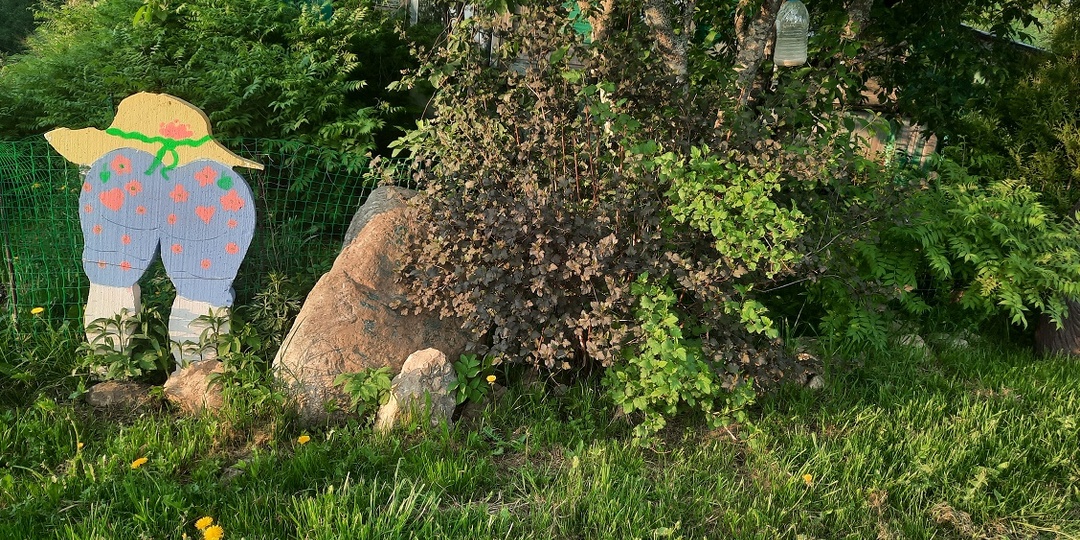 Хорошо в деревне летом!